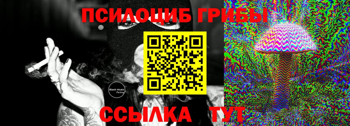 Галлюциногенные грибы Cubensis Ставрополь