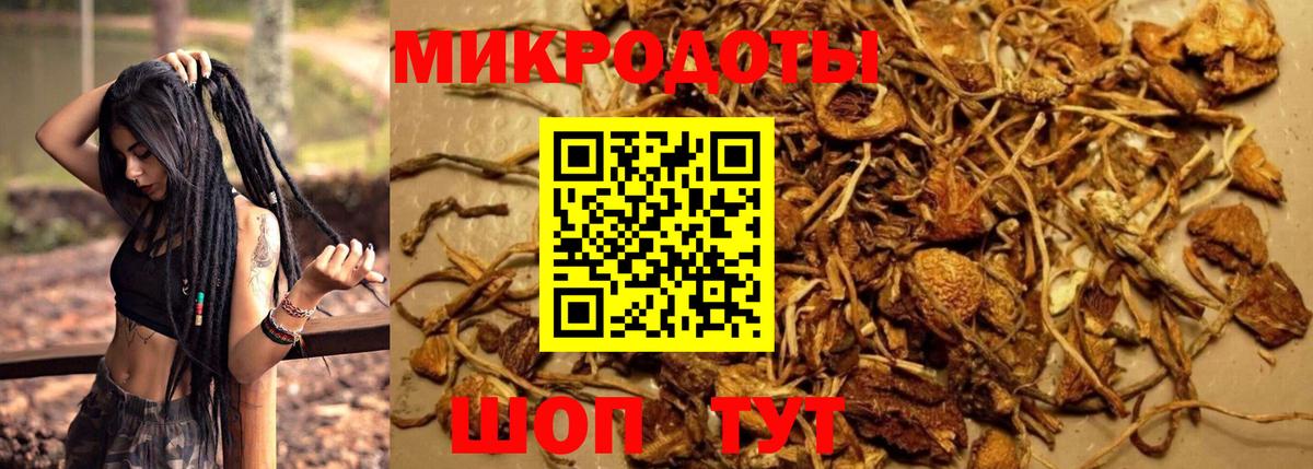 Псилоцибиновые грибы GOLDEN TEACHER  Псилоцибиновые грибы прущие грибы  Ставрополь  Вход с VPN 